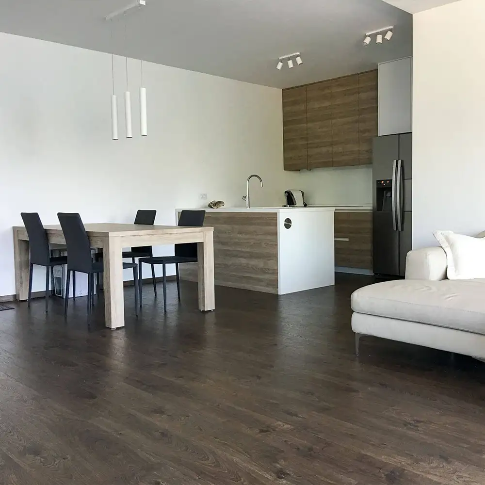 Modern livingroom with kitchen of the apartment