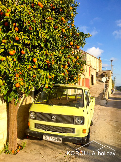 A vintage yellow car parked under a fruit-laden apricot tree on a warm summer day